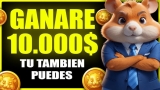 Todo Sobre el Lanzamiento de los Tokens HMSTR en Hamster Kombat